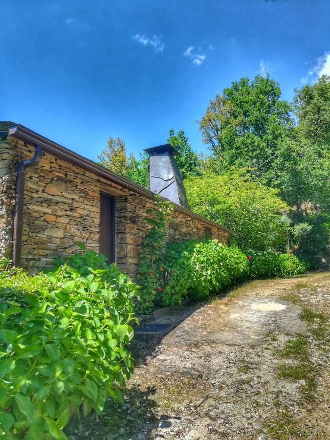 Maison d'hôtes Quinta Da Recochina à Castro Daire Extérieur photo